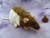 Agouti Brown Hooded Rat Plushie