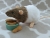 Agouti Grey Bareback Rat Plushie