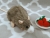 Agouti Grey Blazed Rat Plushie