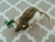 Agouti Grey Hooded Rat Plushie
