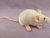 White Mouse Plushie