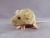 Beige Mouse Plushie with Tan Belly
