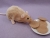Beige Berkshire Rat Plushie