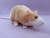 Beige Blazed Rat Plushie