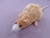 Beige Blazed Rat Plushie