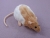 Beige Half-Hooded Rat Plushie