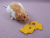 Beige Hooded Rat Plushie
