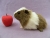 Big Agouti Dutch Guinea Pig Plushie