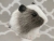 Big Agouti Grey Dutch Guinea Pig Plushie