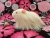 Big White Longhaired Guinea Pig Plushie
