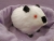 Big Black Himalayan Guinea Pig Plushie
