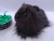 Big Black Longhaired Guinea Pig Plushie