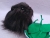 Big Black Longhaired Guinea Pig Plushie