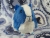 Big Blue Dutch Guinea Pig Plushie