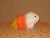 Big Candy Corn Guinea Pig Plushie