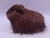 Big Dark Brown Longhaired Guinea Pig Plushie