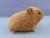 Big Golden Brown Guinea Pig Plushie