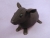 Big Black Hairless Guinea Pig Plushie