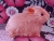 Big Hot Pink Guinea Pig Plushie