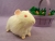 Big Ivory Guinea Pig Plushie