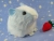 Big Light Blue Dutch Guinea Pig Plushie (Fluffy)
