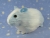 Big Light Blue Dutch Guinea Pig Plushie (Fluffy)
