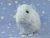 Big Light Blue Guinea Pig Plushie (Fluffy)