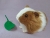 Big Light Brown Dutch Guinea Pig Plushie