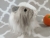 Big Grey Dutch Longhaired Guinea Pig Plushie