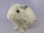 Big Light Grey Guinea Pig Plushie