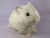 Big Light Grey Guinea Pig Plushie