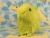 Big Lime Green Guinea Pig Plushie