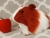 Big Maroon Dutch Guinea Pig Plushie