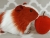 Big Maroon Dutch Guinea Pig Plushie