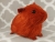 Big Maroon Guinea Pig Plushie