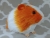Big Orange Dutch Guinea Pig Plushie