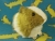 Big Pea Green Dutch Guinea Pig Plushie