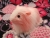 Big Pink Longhaired Dutch Guinea Pig Plushie