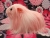 Big Pink Longhaired Dutch Guinea Pig Plushie