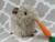 Big Silver Guinea Pig Plushie