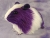 Big Violet Dutch Guinea Pig Plushie