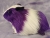 Big Violet Dutch Guinea Pig Plushie