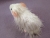 Big White Texel Guinea Pig Plushie