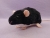 Black Berkshire Rat Plushie
