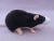 Black Blazed Rat Plushie