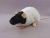 Black Capped Rat Plushie