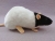 Black Capped Rat Plushie
