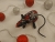 Black with Red & Silver Snow Mouse/Rat Ornament