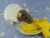 Blue Grey Capped Rat Plushie