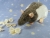 Blue Grey Hooded Rat Plushie